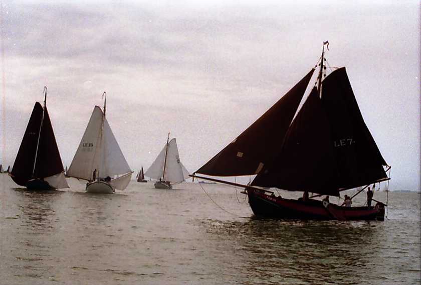 LE74-LE25-LE29